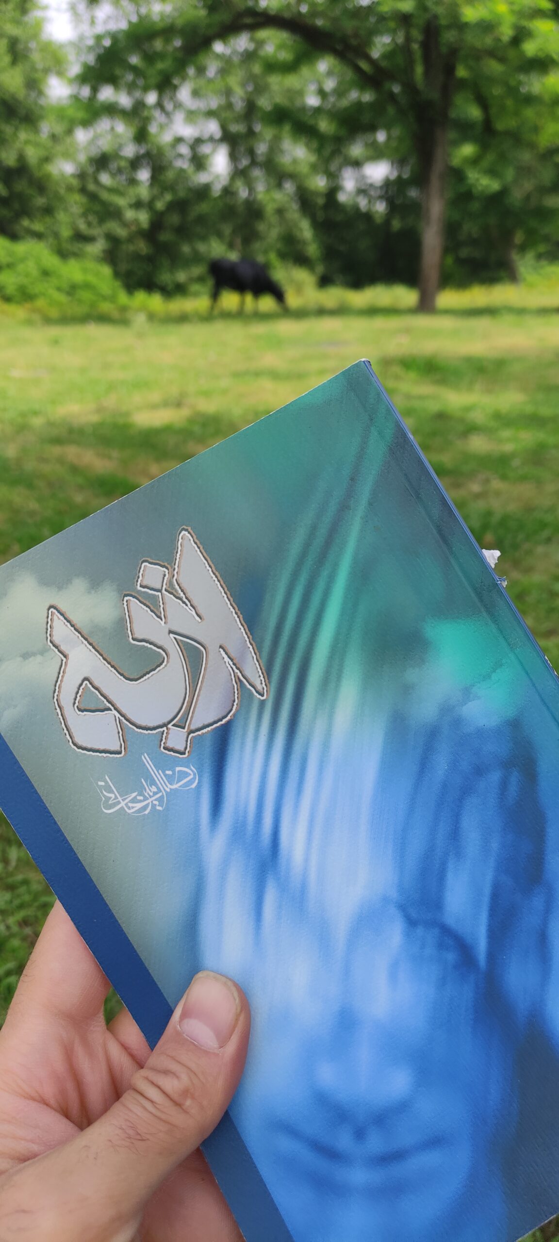 روزنوشت/ ۷ خرداد
